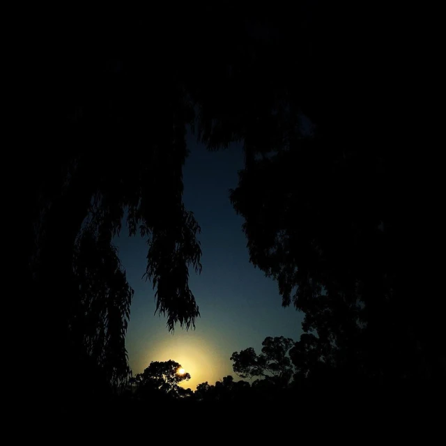 Atmospheric dusk landscape features a dark silhouette of trees with a small, distant sun peeking through the branches.