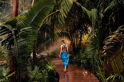 Woman in a blue dress walks on a wooden path through a dense, tropical forest with lush green foliage and a misty, soft light.