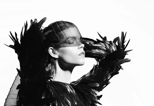 Model in profile wearing a black feathered garment and sheer face veil against a white background