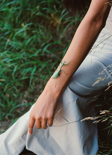 Woman with a praying mantis on her arm outdoors surrounded by tall grass. The praying mantis is green, contrasting her skin.