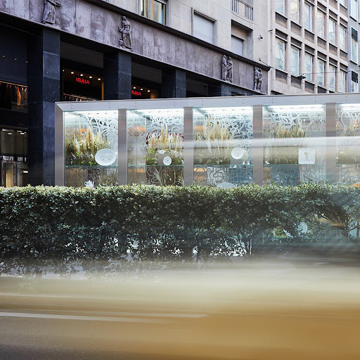 Exterior view of modern building with plants and architectural details. Urban scene with blurred light streaks at street level.