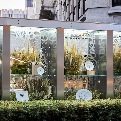 Outdoor display case with decorative grass and plates in an urban setting, showcasing artistic arrangement with architectural backdrop.