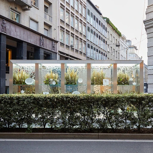 Outdoor shot of a storefront window display featuring various pottery pieces and plant arrangements, set against a cityscape backdrop.