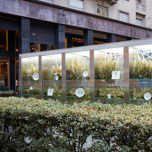 Outdoor display in an urban setting featuring plants and dishware, showcased in a glass structure near storefronts and greenery.