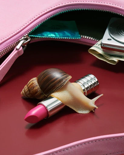 Macro shot of a snail crawling on pink lipstick in a partially open pink purse with a condom packet and folded money in the background.
