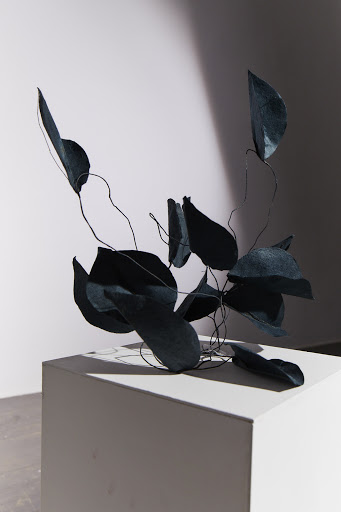 Abstract botanical art: Dark blue leaves and wire composition on a white cube against a gradient background in a brightly lit studio.