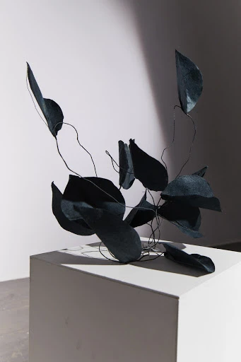 Abstract botanical art: Dark blue leaves and wire composition on a white cube against a gradient background in a brightly lit studio.