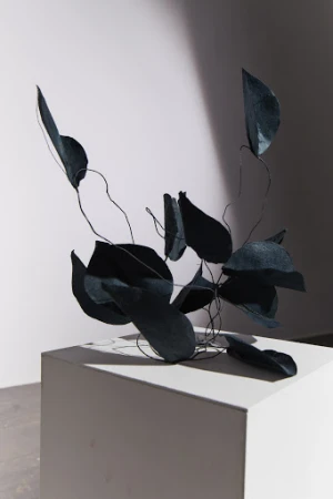Abstract botanical art: Dark blue leaves and wire composition on a white cube against a gradient background in a brightly lit studio.