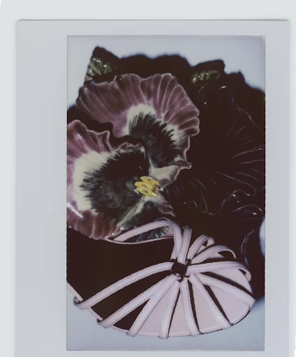 Elevated close-up of a fashion sandal with pale-pink straps and pale-pink sole, paired with a large violet flower, centered in the frame.