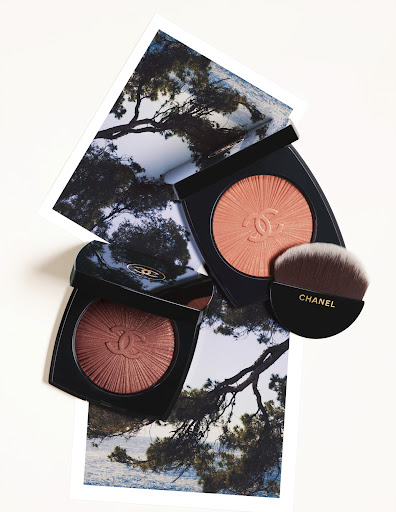 Cosmetic flatlay featuring Chanel blush compacts with a makeup brush, set against a backdrop of art prints of an oceanside tree.