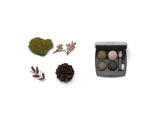 Eye shadow palette with four colors and applicator brushes in gray case, next to pine cone, moss, and small leaves on a white background.