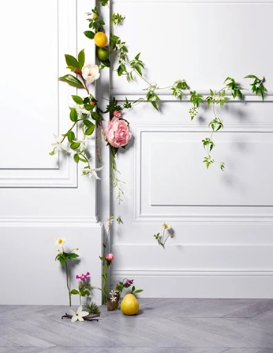 Floral display featuring roses, jasmine, vines, and citrus fruits cascading along a white paneled wall above a grey parquet floor.