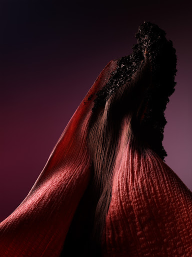 Abstract studio shot of a dried flower petal with textured surface and burnt edges, set against a gradient magenta and dark purple backdrop.