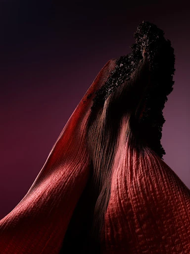 Abstract studio shot of a dried flower petal with textured surface and burnt edges, set against a gradient magenta and dark purple backdrop.