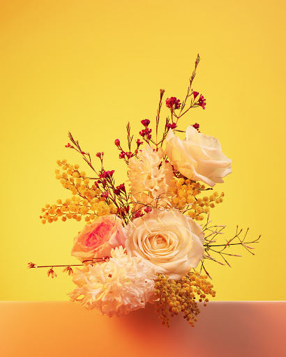 Floral arrangement featuring roses and mimosa on a bright yellow background, creating a vibrant and elegant botanical display.