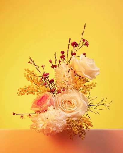 Floral arrangement featuring roses and mimosa on a bright yellow background, creating a vibrant and elegant botanical display.