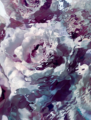 Abstract, painterly shot of light purple and maroon roses under rippling water, creating distortion and an ethereal effect.