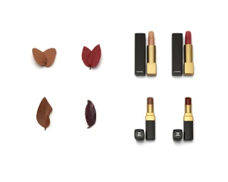 Four Chanel lipsticks arranged in a grid with corresponding autumn leaves on a white background