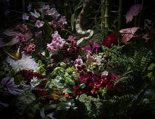 Floral arrangement with orchids, ferns, and roses, adorned with butterflies and a snake winding through the greenery in a dark setting.