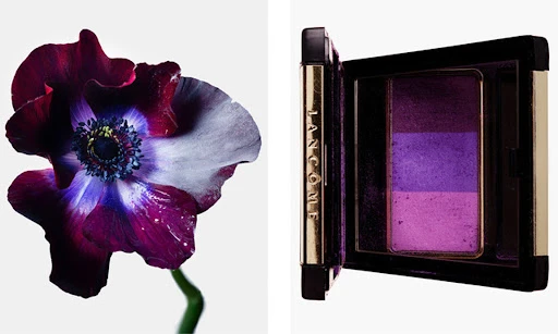 Close-up studio shot of a dark purple anemone flower with water droplets and a Lancôme eyeshadow palette in purplish hues.