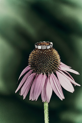 Close-up of silver ring on purple coneflower with green foliage backdrop, highlighted by soft, natural lighting, showcasing jewelry details.