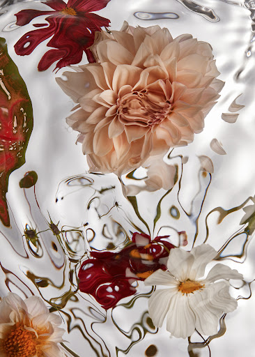 Floral arrangement featuring peach and burgundy blossoms surrounded by clear water with rippling effects, creating a serene and dreamy aesthetic.