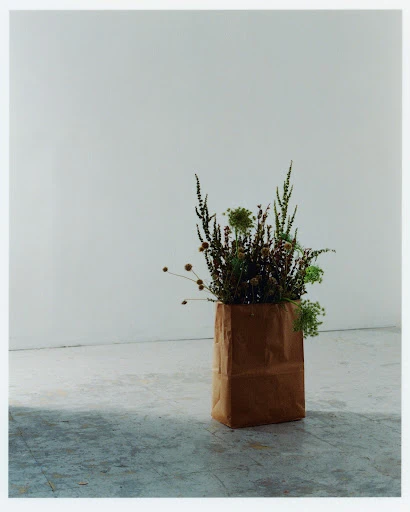Floral arrangement in a brown paper bag against a white wall. Studio shot with natural light casting shadows on a concrete floor.