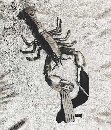Monochromatic studio shot of a glossy metal lobster sculpture with string accents on a textured silver fabric background, high-key lighting.