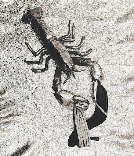 Monochromatic studio shot of a glossy metal lobster sculpture with string accents on a textured silver fabric background, high-key lighting.