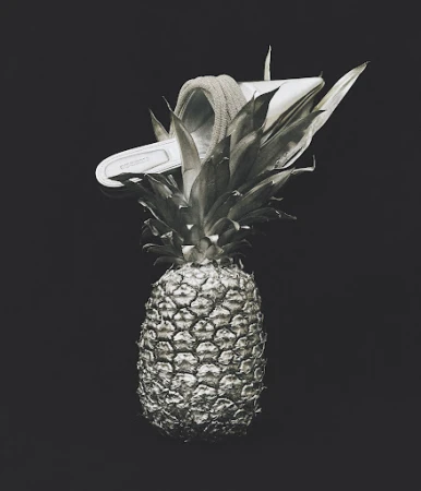 Still life of a pineapple with a slide sandal on top, set against a dark background in a visually striking, monochromatic composition.