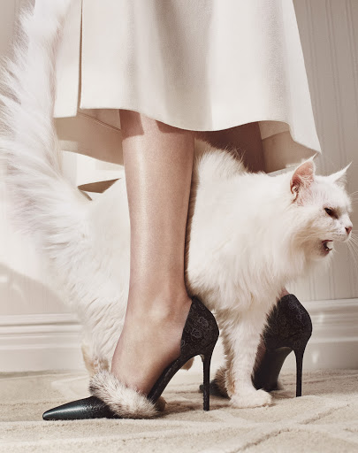 A woman in a white dress wearing black heels with fur trim, standing over a fluffy white cat that is sitting on a beige carpet.