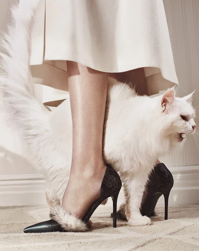A woman in a white dress wearing black heels with fur trim, standing over a fluffy white cat that is sitting on a beige carpet.