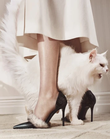 A woman in a white dress wearing black heels with fur trim, standing over a fluffy white cat that is sitting on a beige carpet.