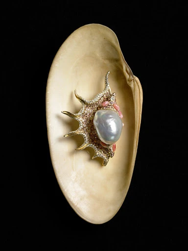 A still life photograph features a spiky seashell adorned with jewels and a pearl inside a larger, smooth clamshell against a dark background.
