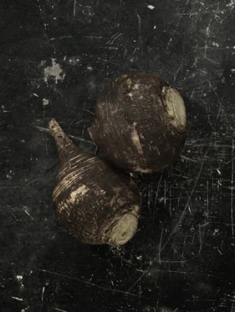 Two black radishes are placed on a black surface with scratches, creating a simple and textured still life image.
