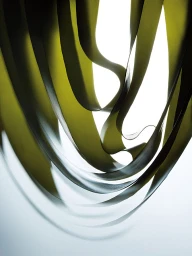 Curved ribbons of green kelp suspended in a vertical composition against a bright white background