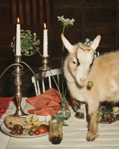 Goat poses at a dinner table with lit candles, wildflowers, and a plate with bread, fruit, and olives on a white tablecloth.