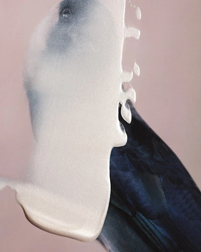 Macro shot of blue bird feathers with white liquid flowing over them against a pink background, creating an abstract design.