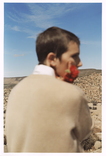 Young man in beige sweater holds red flower against desert landscape under bright blue sky with some clouds. Focus is on background.