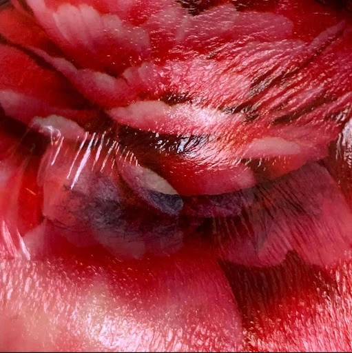 Close-up abstract image featuring red, white, and dark grey hues, creating a textured and patterned effect.