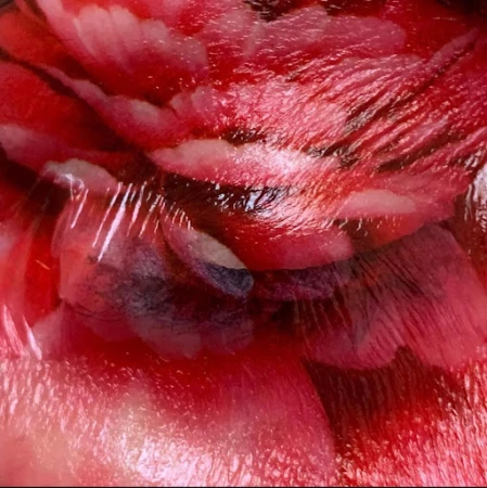 Close-up abstract image featuring red, white, and dark grey hues, creating a textured and patterned effect.