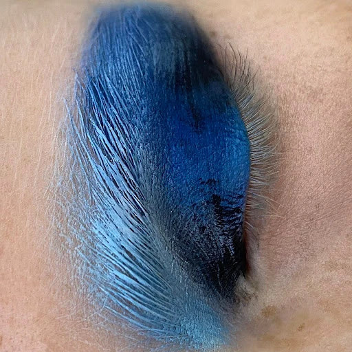 Close-up of person's eye featuring dark blue eyeshadow with feather-like strokes and detail, creating a dramatic and artistic makeup look.