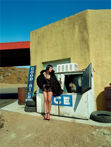 Woman in a sheer black outfit poses next to an ice cooler with a bobcat in the desert, with weathered buildings and signage.