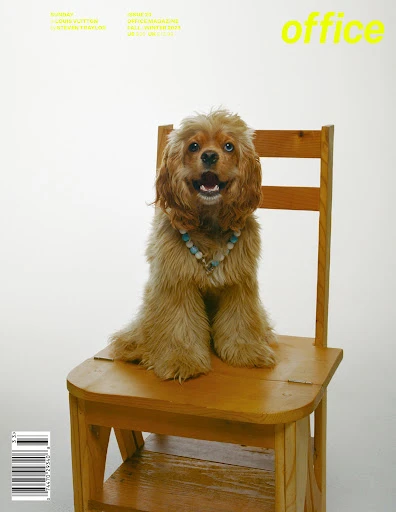 Dog magazine cover: A brown Cocker Spaniel dog wearing a turquoise necklace sits on a wooden chair against a white background.