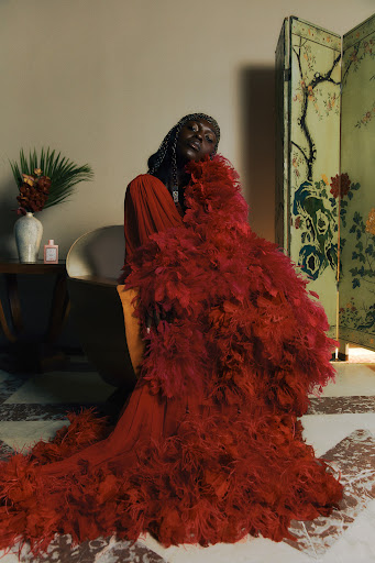 Elegant woman with dark skin and braided hair poses in a red feather gown near a decorative screen in an indoor setting with soft lighting.