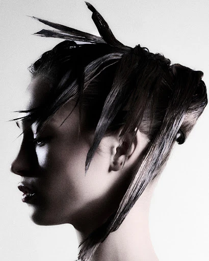 Profile portrait of a woman with black hair styled in a dramatic updo with spiky accents, side view against a light grey background.