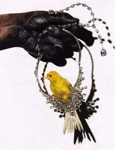 Close-up of hand holding a yellow canary bird perched in a diamond necklace against a stark white background. Fashion and wildlife concept.