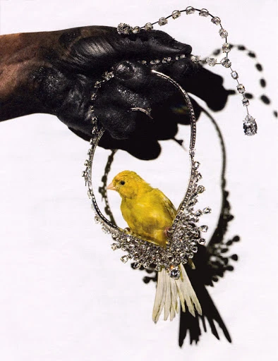 Close-up of hand holding a yellow canary bird perched in a diamond necklace against a stark white background. Fashion and wildlife concept.