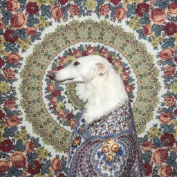 Profile portrait of a white Borzoi draped in a blue and floral patterned shawl against an ornate circular floral tapestry.