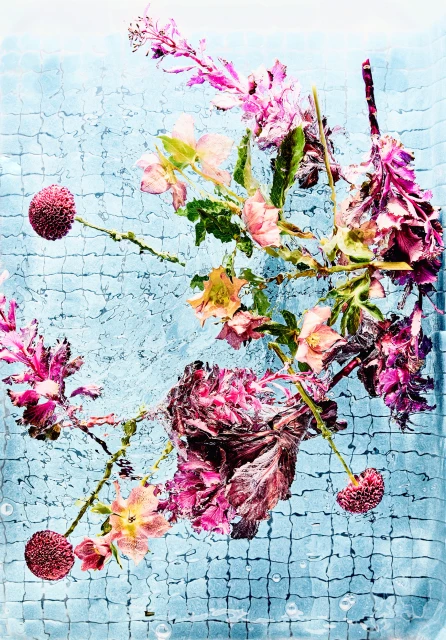 Floral arrangement with pink and yellow flowers submerged in water against a textured blue grid-like background. Underwater photography.